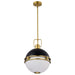 NUVO EVERTON 2 LIGHT 14" PENDANT