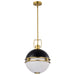 NUVO EVERTON 2 LIGHT 14" PENDANT