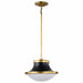 NUVO LAFAYETTE 1 LIGHT 14" PENDANT