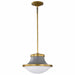 NUVO LAFAYETTE 1 LIGHT 14" PENDANT