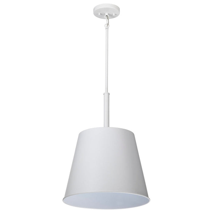 NUVO ALEXIS 1 LIGHT LG PENDANT