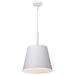 NUVO ALEXIS 1 LIGHT LG PENDANT