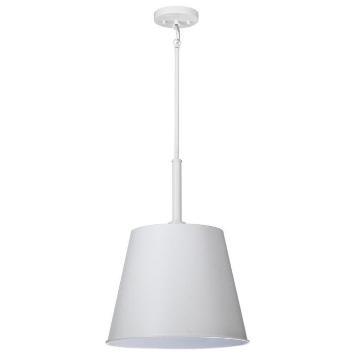 NUVO ALEXIS 1 LIGHT LG PENDANT