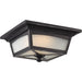 NUVO ESSEX 1 LIGHT OUTDOOR FLUSH 62-823