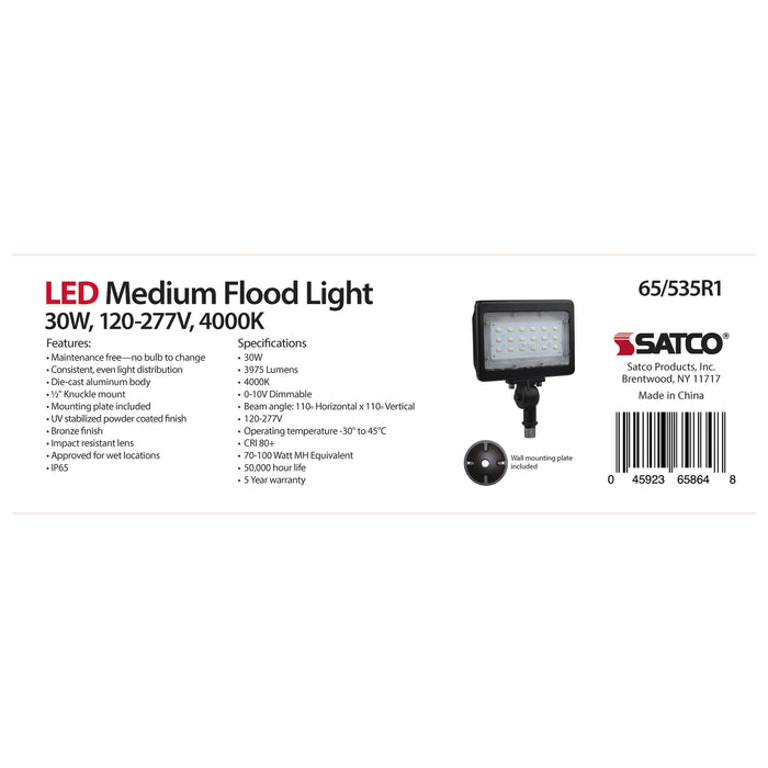 LED 30W MEDIUM FLOODLIGHT R1