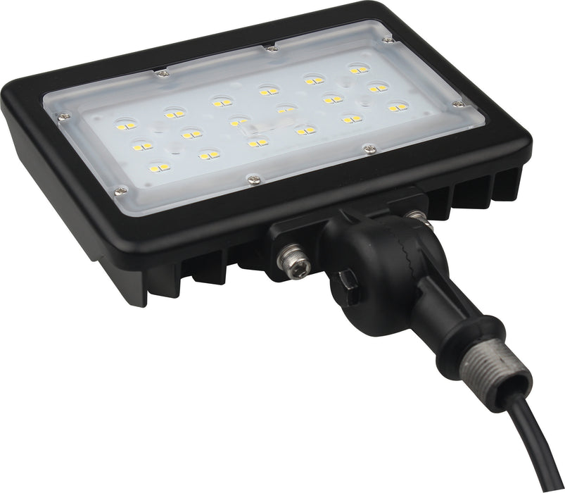 LED 30W MEDIUM FLOODLIGHT R1