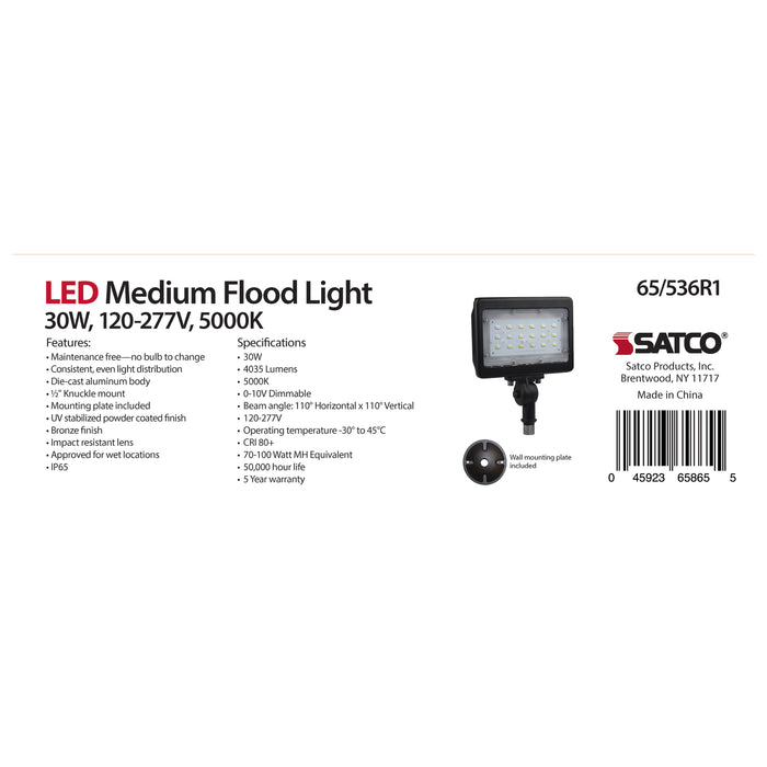 LED 30W MEDIUM FLOODLIGHT R1