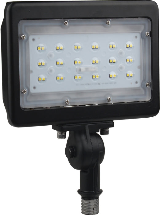 LED 30W MEDIUM FLOODLIGHT R1