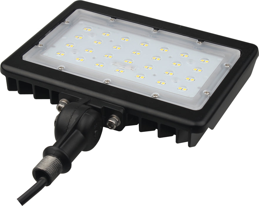 LED 50W MEDIUM FLOODLIGHT R1