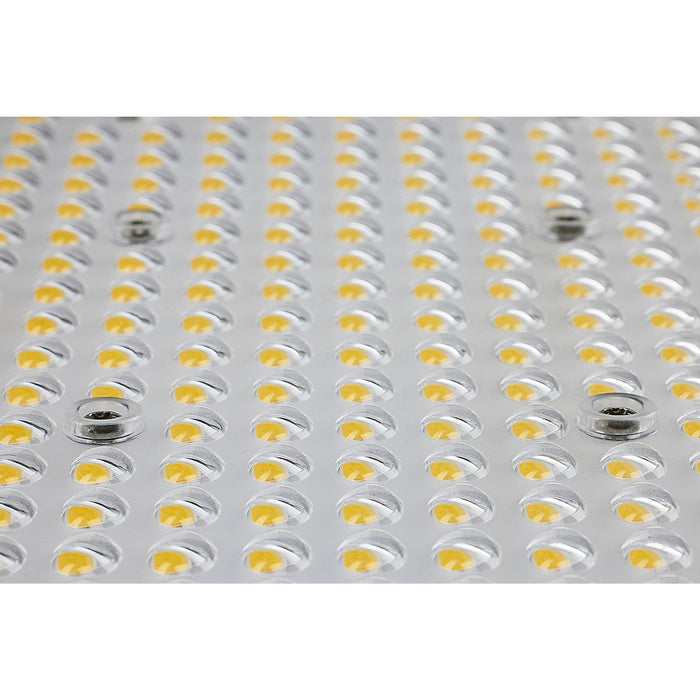 100W LED AREA LIGHT TYPE V