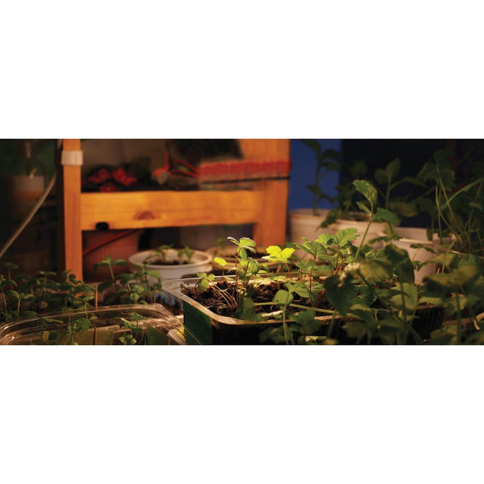 16 Watt - PAR38 LED - Full Spectrum Plant Grow Lamp - Medium Base - 120 Volt - 6-Pack
