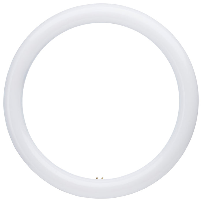 LED Circline - 16 Watt - T9 - 3000K/4000K/6500K CCT Selectable - G10q Base - 120-277 Volt - 12-Pack