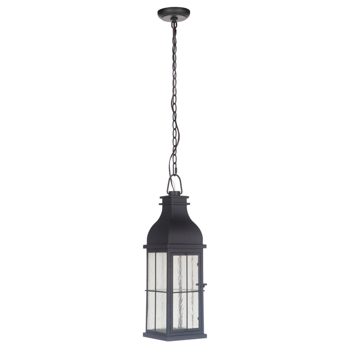 Vincent 1 Light Medium LED Outdoor Pendant in Midnight