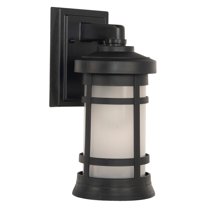 Resilience 1 Light Small Outdoor Wall Lantern in Textured Black