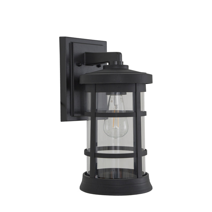 Resilience Large Outdoor Lantern in Textured Black, Clear Lens