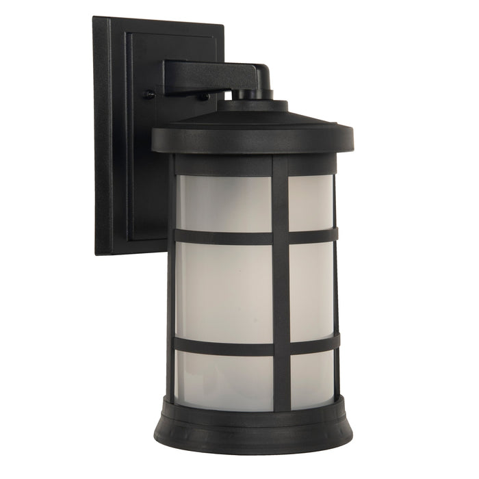 Resilience 1 Light Medium Outdoor Wall Lantern in Textured Black