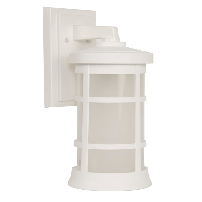 Resilience 1 Light Medium Outdoor Wall Lantern in Textured White