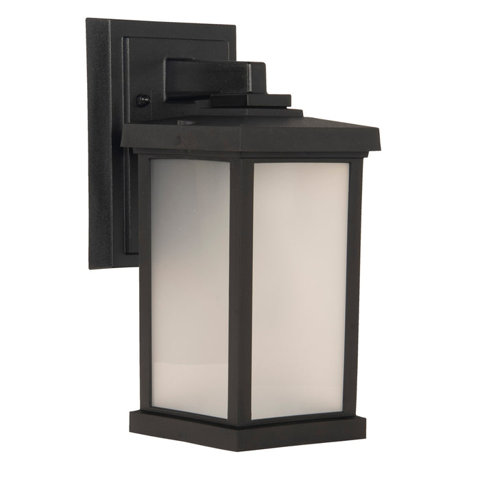 Resilience 1 Light Small Outdoor Wall Lantern in Textured Black