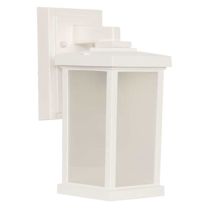 Resilience 1 Light Small Outdoor Wall Lantern in Textured White