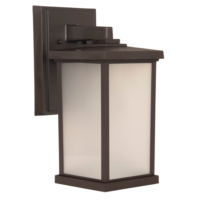 Resilience 1 Light Medium Outdoor Wall Lantern in Bronze