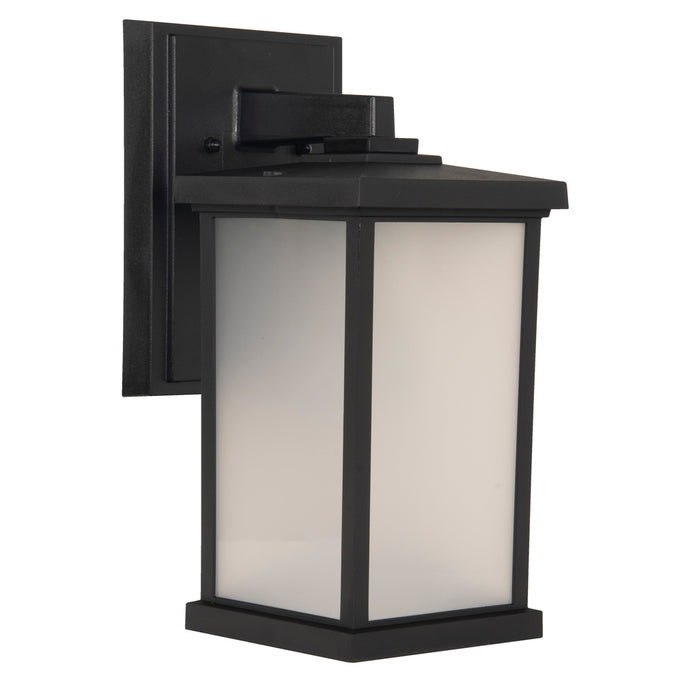 Resilience 1 Light Medium Outdoor Wall Lantern in Textured Black